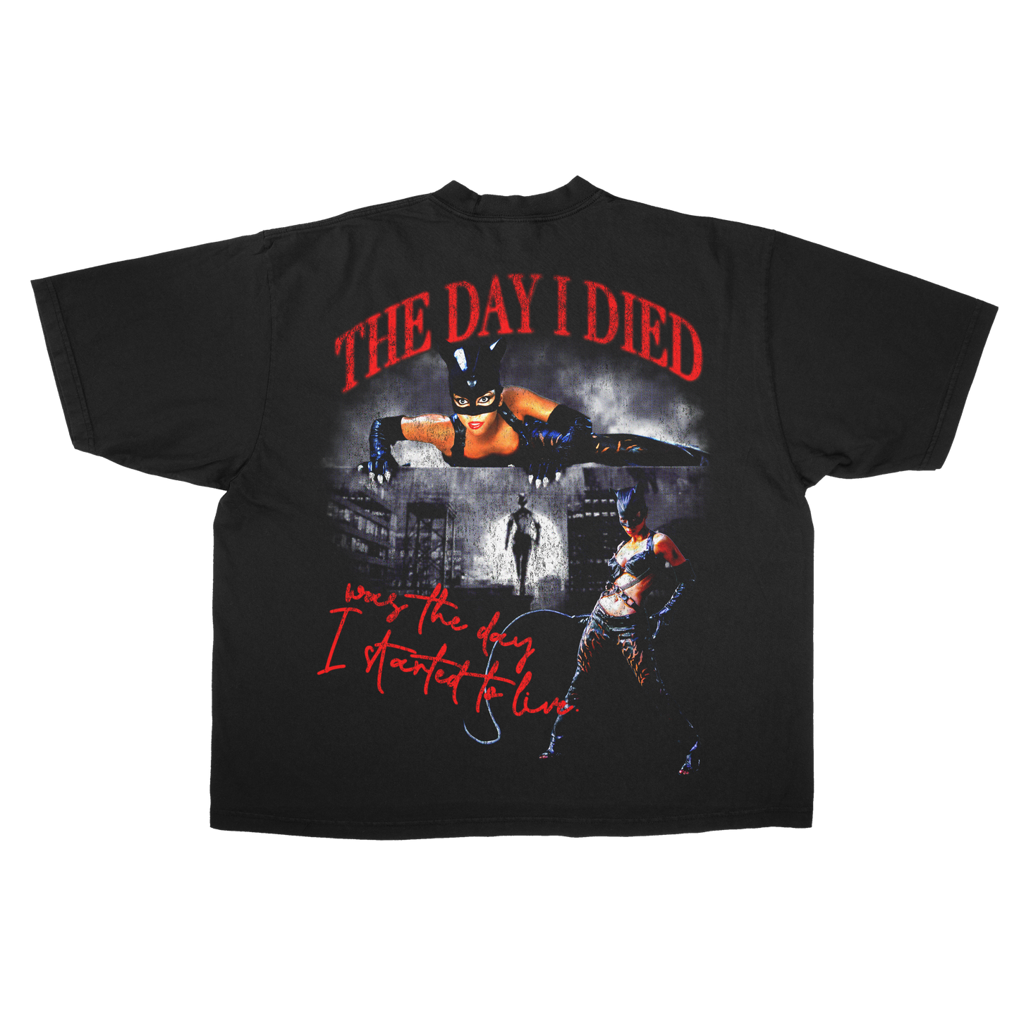 Catwoman 2004 - Halle Berry