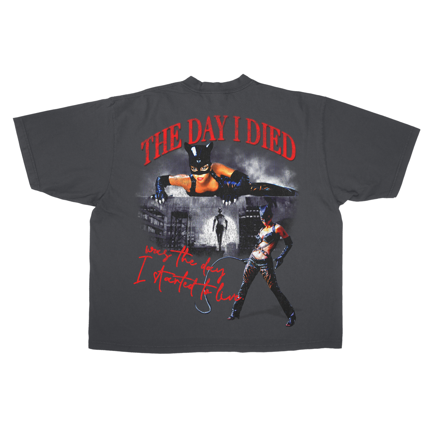 Catwoman 2004 - Halle Berry